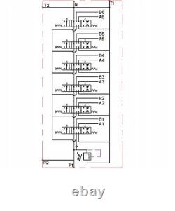 6 BANK Hydraulic Directional Control Valve 2x JOYSTICK 21gpm 80L 6x Double ex